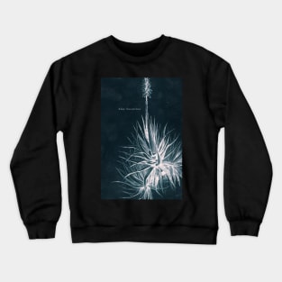 Cyanotype - Aloe Socotrina - C Crewneck Sweatshirt